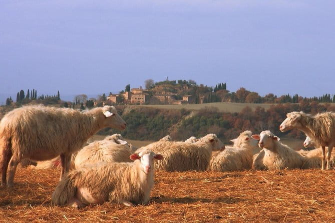 Authentic Pasta Class in Florence - Should you book it?