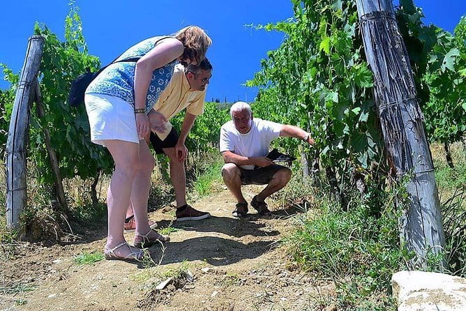 Chianti Classico and Super Tuscan 3 Winery Tour - From Florence into Chianti Classico