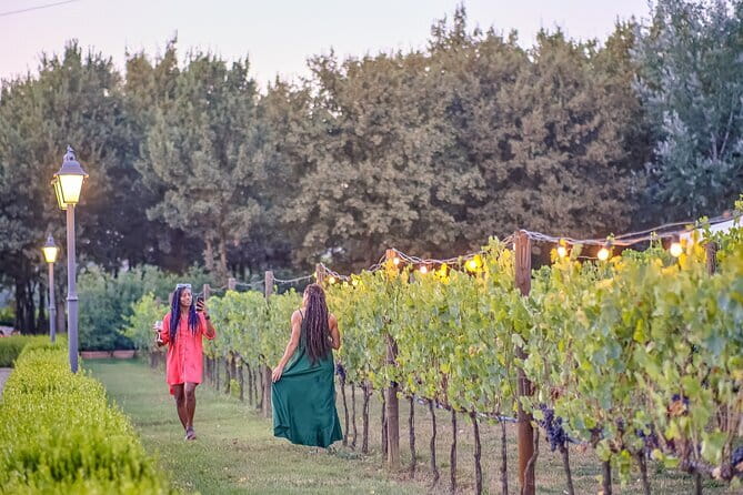 Chianti Vineyards Escape from Florence with Two Wine Tastings - Vineyard paths and countryside views