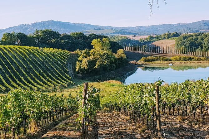 Chianti Wine Tastings Day Trip at Sunset from Florence - From Florence’s center to Chianti’s hills
