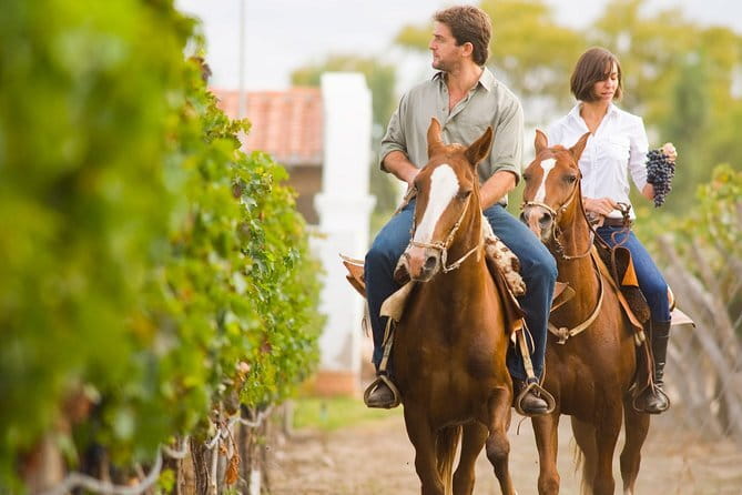 Chianti Wine Tastings Day Trip at Sunset from Florence - Who will enjoy this evening most