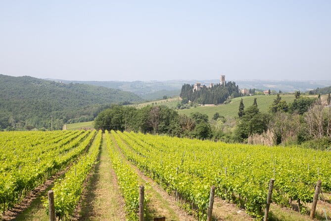 Chianti Wine Tastings Day Trip at Sunset from Florence - Montefioralle as a quick scenic stop