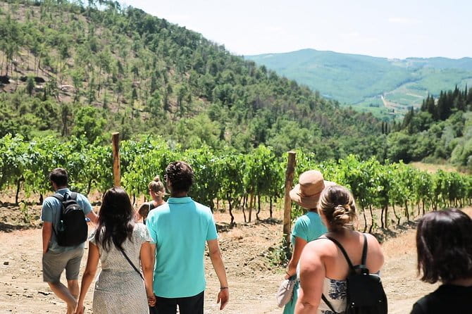 Chianti Wine Tour from Florence - The first organic winery: a close look at local wine