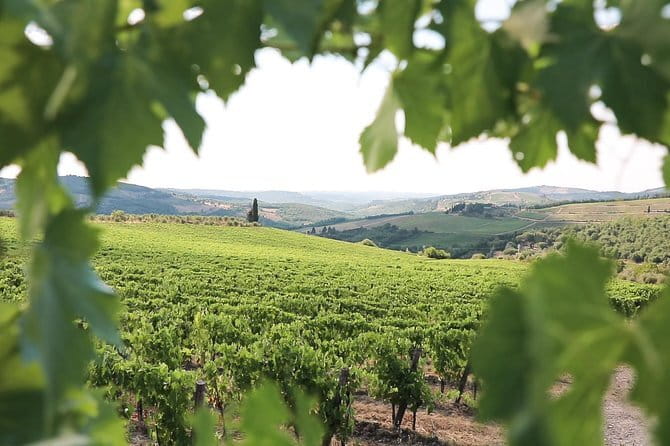Chianti Wine Tour from Florence - Timing, meeting point, and practical details