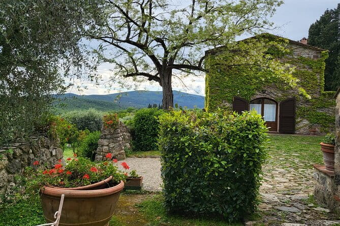 Chianti Wine Tour from Florence with Tastings - Two wineries, then a walled Tuscan town