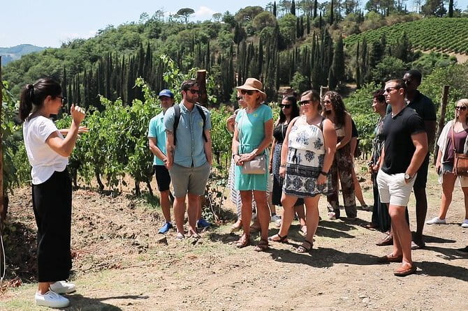 Chianti Wine Tour from Florence - The second estate brings vineyard and cellar together