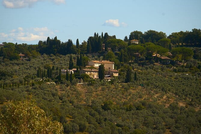 Chianti Wine Tour with Tastings Semi-Private Experience - Leaving Florence for the Chianti countryside