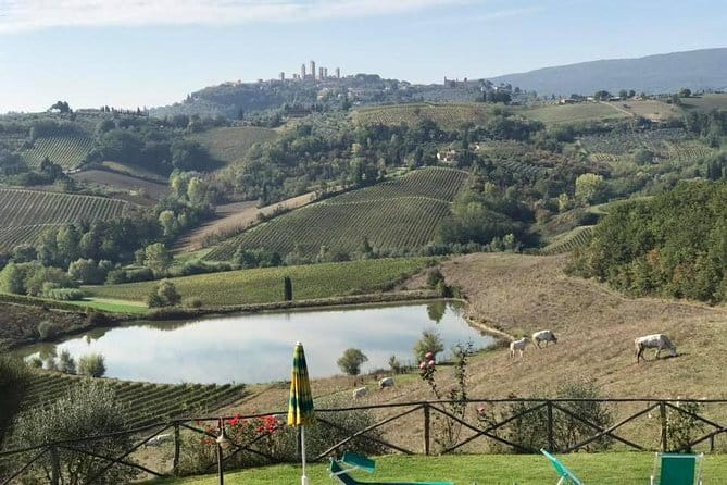 Chianti Wineries Tour with Tuscan Lunch and San Gimignano - Lunch and the second winery