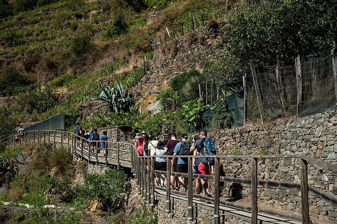 Cinque Terre Day Trip with Optional Hiking or Pisa - Choosing the hike, train, or Pisa route