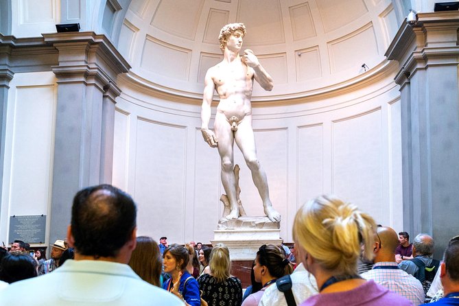 David & Accademia Guided Tour with Time Entry Ticket - What you get for $37.49