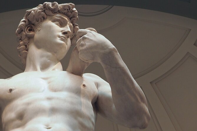 David & Accademia Guided Tour with Time Entry Ticket - Timed entry at the Accademia