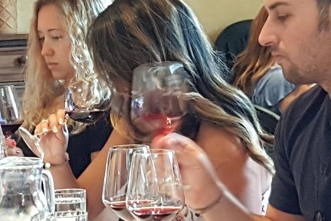 Discover Chianti Through its Wines - A Tuscan winery visit, not a Florence tasting room