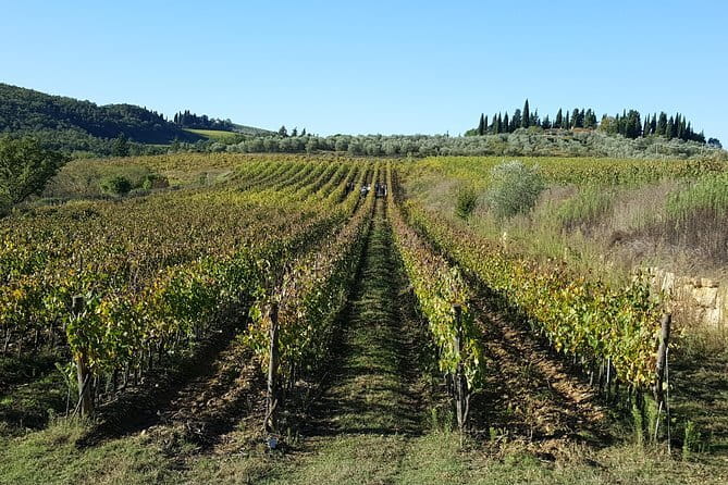 Discover Chianti Through its Wines - In the cellar, where fermentation becomes ageing