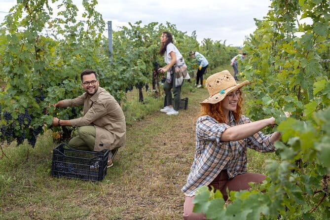 Discover Chianti Through its Wines - Cheese, salumi and the value of a proper snack