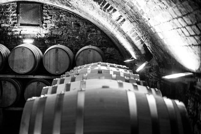 Discover Chianti Through its Wines - From olive trees and vines to Chianti’s story