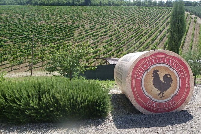 Essence of Chianti Small Group Tour with Lunch and Tastings from Florence - Three estates make the day more than a tasting crawl