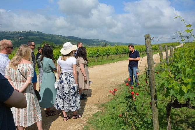 Experience Chianti & Cheese w/ 3 wineries & dairy visit—max 8 pp - Three wineries, not one long tasting