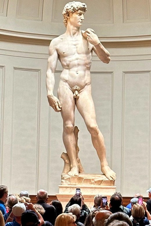 Florence: Accademia Gallery & David Skip-the-Line Ticket - David makes the visit worth planning