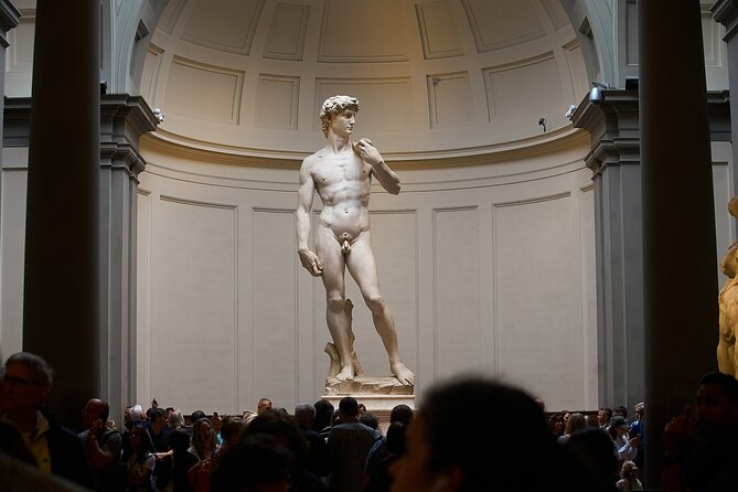 Florence Accademia Guided Tour – Shared, Private & Combo Options - David is the star, but the guide gives you a way in