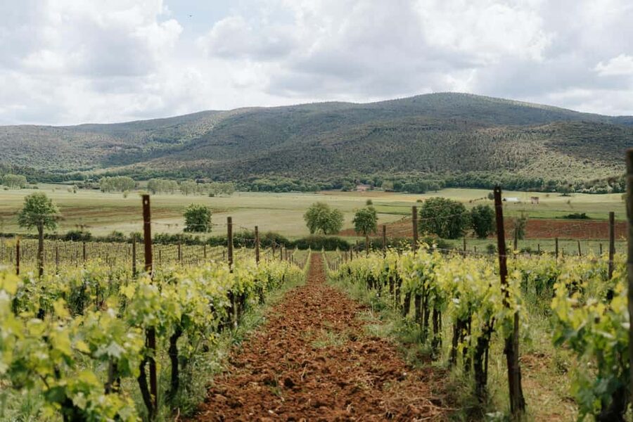 Florence: Best of Tuscany – Siena, Chianti & San Gimignano - The day’s best reasons to go