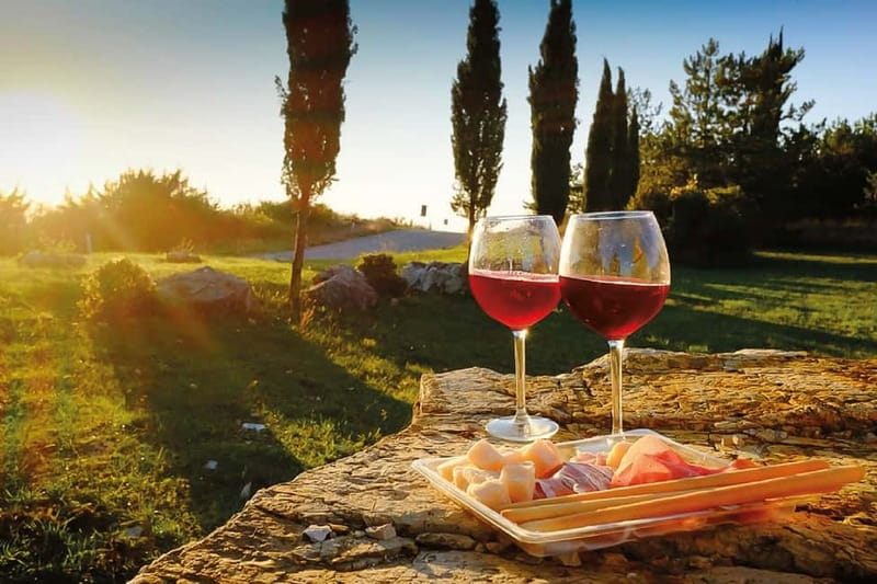 Florence: Chianti Vineyards Tour with Wine Tasting & Dinner - Dinner under the vines
