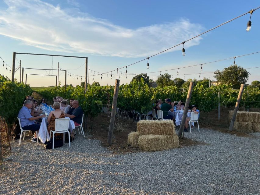 Florence: Chianti Vineyards Tour with Wine Tasting & Dinner - What the price covers