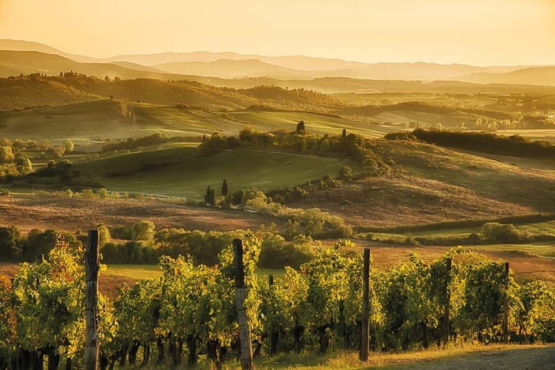 Florence: Chianti Vineyards Tour with Wine Tasting & Dinner - Practical points before you book