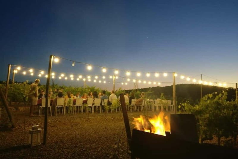 Florence: Chianti Vineyards Tour with Wine Tasting & Dinner - Who will enjoy this Chianti evening?