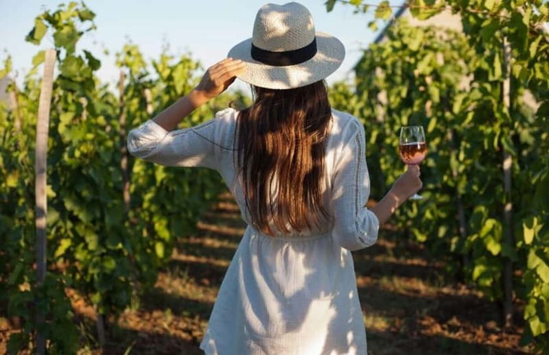 Florence: Chianti Vineyards Tour with Wine Tasting & Dinner - At the estate: winery, aperitif, and tasting