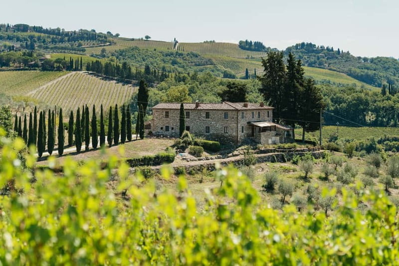 Florence: Chianti Wineries Tour with Wine Tasting - Second cantina: production methods and a fresh set of wines