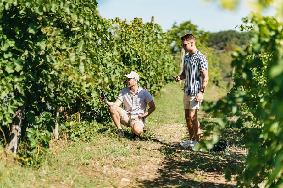 Florence: Chianti Wineries Tour with Wine Tasting - What the tastings and snacks add to the price