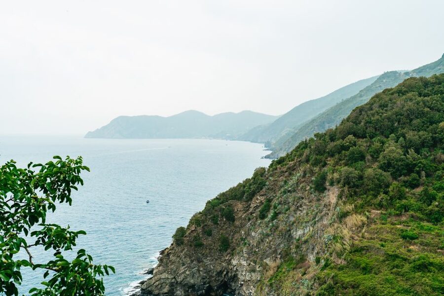 Florence: Cinque Terre Day Trip with Optional Hike - Should you book it?