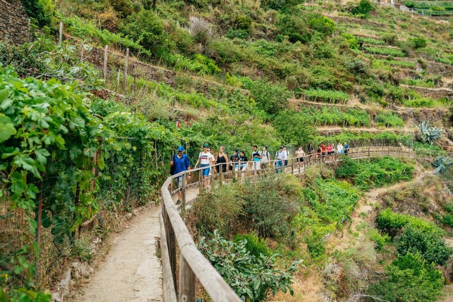 Florence: Cinque Terre Day Trip with Optional Hike - Leaving Florence for the Ligurian coast