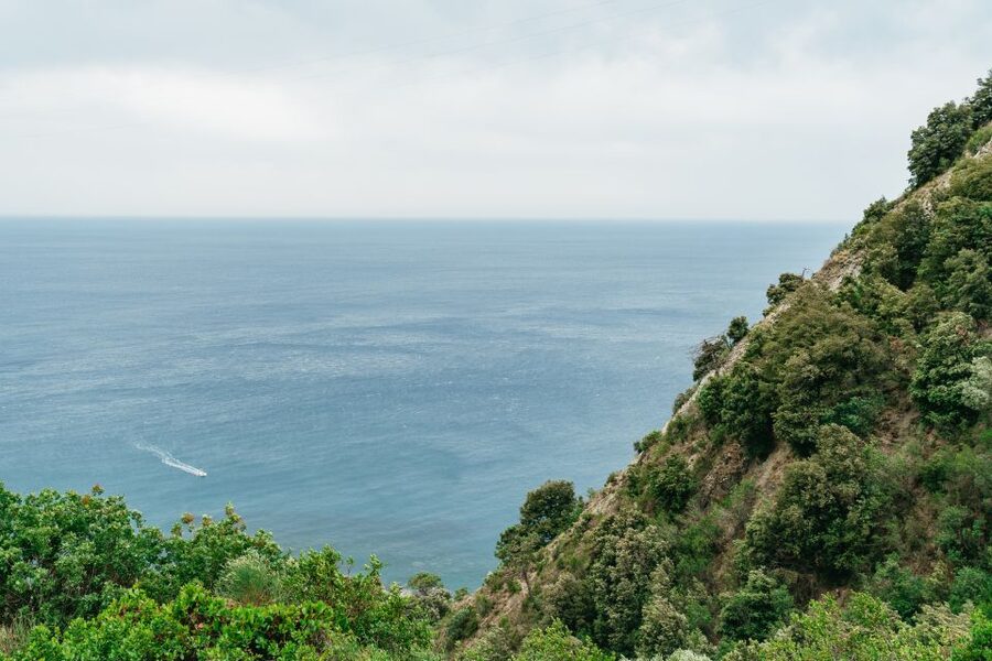 Florence: Cinque Terre Day Trip with Optional Hike - What the $152.93 price covers