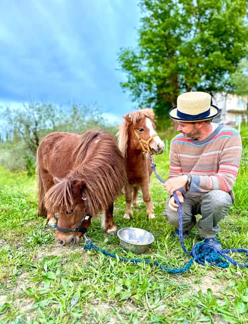 Florence: Countryside Tour with Wine Tasting & Pasta Class - A Farm Walk Among Vineyards, Olive Trees, and Garden Plants