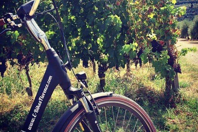 Florence Hills E-Bike Tour with Gelato Tasting - Gelato, with an optional Tuscan lunch