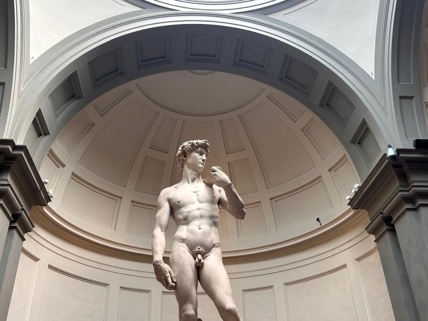 Florence: Michelangelo's David Entrance Ticket and Audio App - The Gipsoteca and the Medici instruments