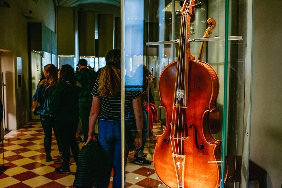 Florence: Michelangelo's David Skip-the-Line Entry Ticket - Renaissance paintings beyond the headline work