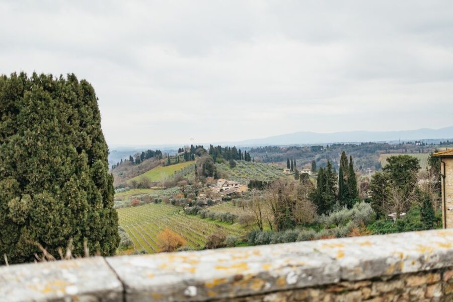 Florence: Pisa, Siena, San Gimignano, and Chianti Experience - San Gimignano: the best place to wander