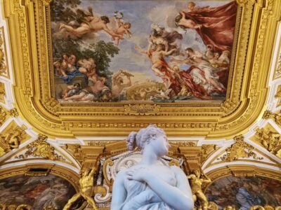 Pitti Palace and Palatina Gallery Ticket and Tour