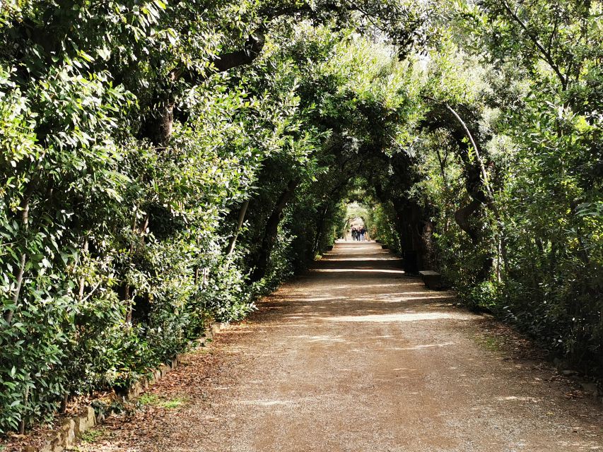Florence: Pitti Palace, Boboli Garden, Palatine Gallery Tour - Key points
