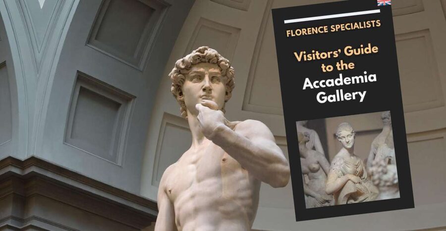 Florence: Timed Entry Ticket to Michelangelo's David & eBook - Should you book?