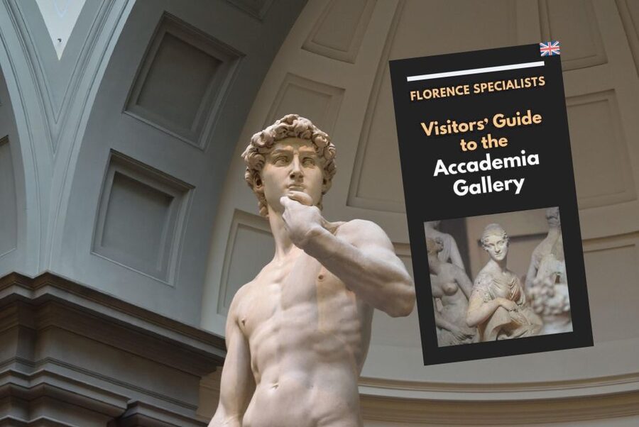 Florence: Timed Entry Ticket to Michelangelo's David & eBook - David is worth seeing in person