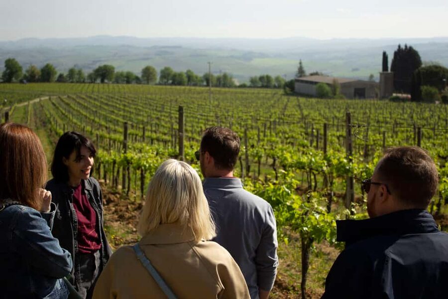 Florence: Valdorcia Wine, Brunello Montalcino, Montepulciano - Pienza, Pecorino, and lunch with a view
