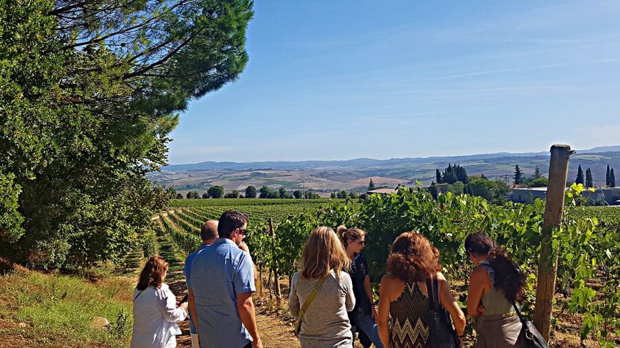 Florence: Valdorcia Wine, Brunello Montalcino, Montepulciano - Montepulciano’s cellar and second tasting