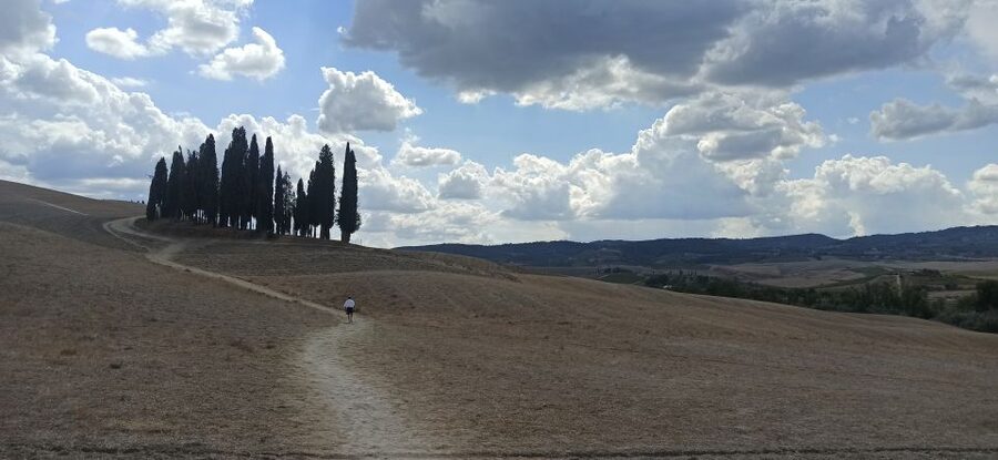 Florence: Valdorcia Wine, Brunello Montalcino, Montepulciano - What the schedule means in practice