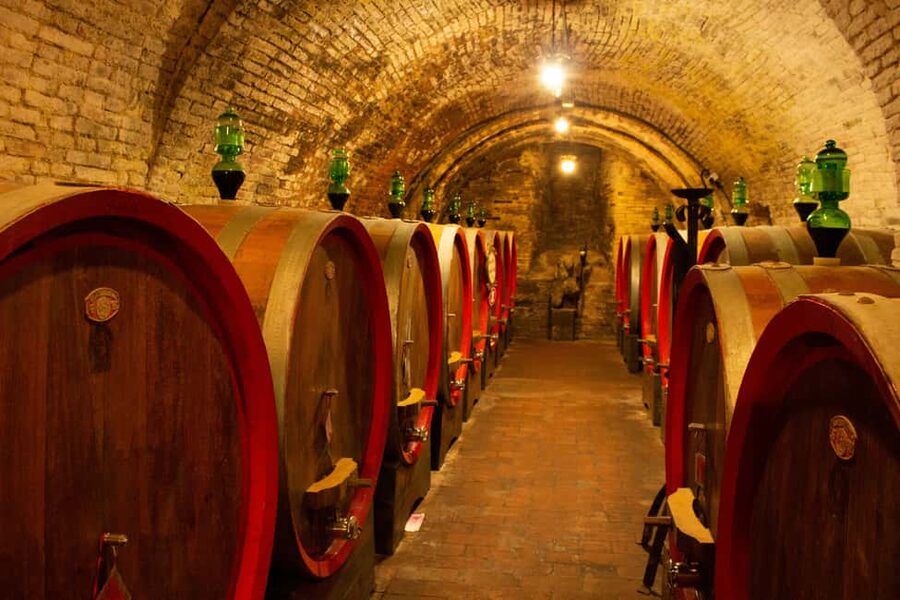Florence: Valdorcia Wine, Brunello Montalcino, Montepulciano - Who will enjoy this trip most
