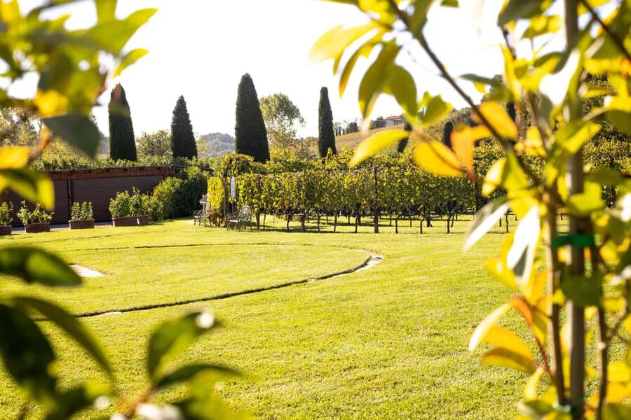 From Florence: Chianti Half-Day Afternoon Tour - From Florence, the Tuscan hills are within reach