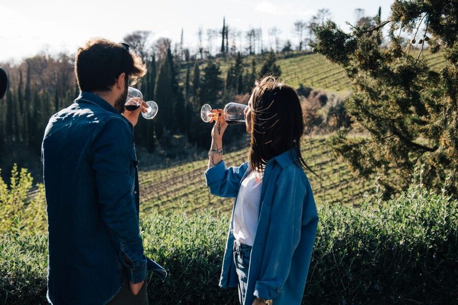 From Florence: Chianti Hills Half-Day Tour with Wine Tasting - Chianti in half a day: key points