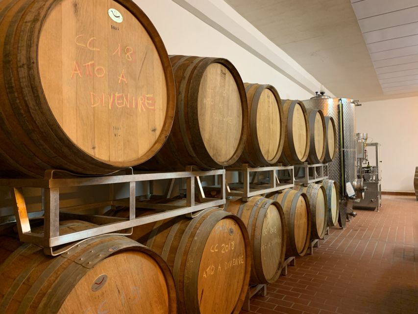 From Florence: Chianti Hills Half-Day Tour with Wine Tasting - Seven wines with Tuscan bites